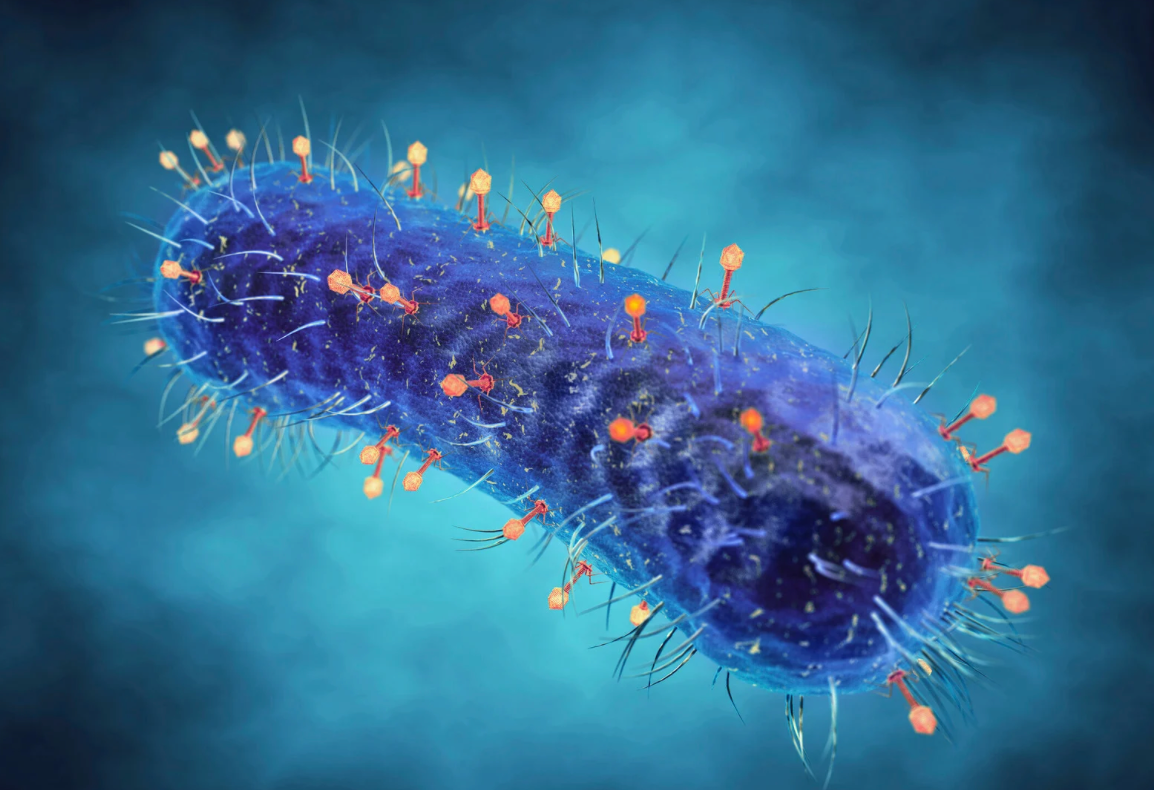 Molecular switch for toxic protein disposal may be a target for Parkinson's Treatments