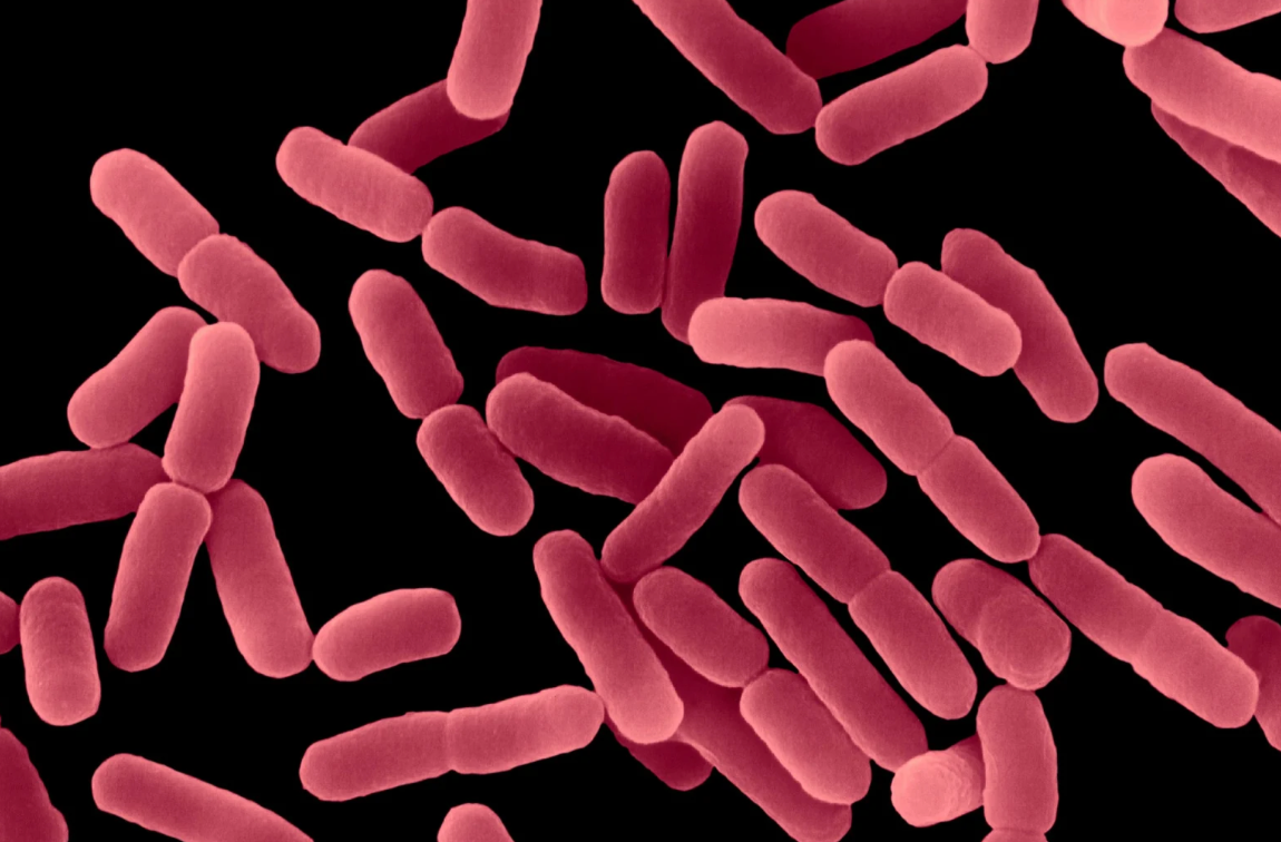 TFE3 Unlocks New Avenues for Parkinson’s Disease Treatment