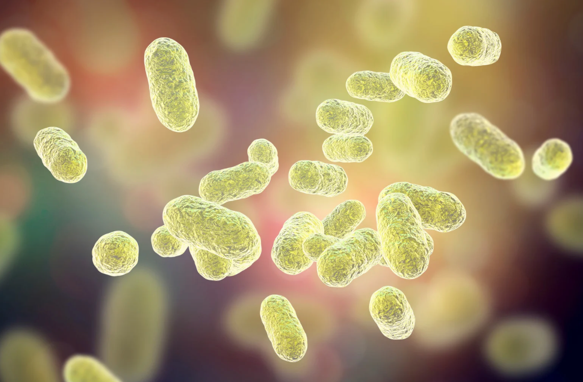 The Gut-Brain Connection in Parkinson’s Disease: Insights from Microbiome Research