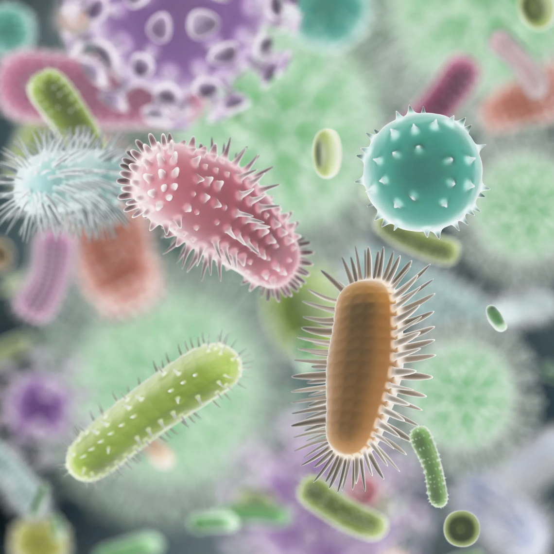 Parkinson's Gut Bacteria Link Suggests an Unexpected, Simple Treatment