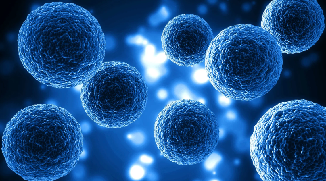 Stem Cells Show Promise in Treating Parkinson’s Disease