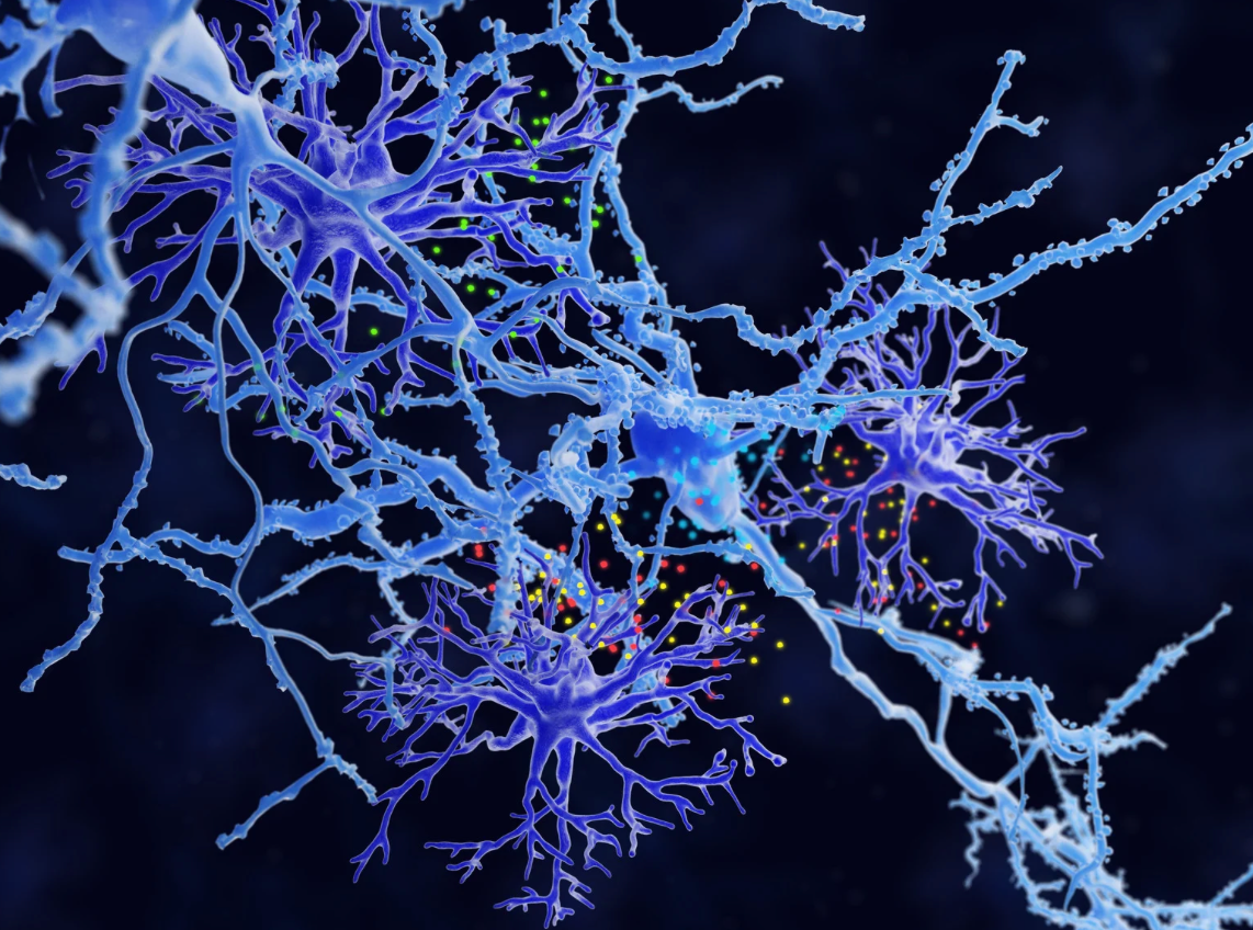 Promising Therapy Aims to Reduce Brain Inflammation in Parkinson’s Disease
