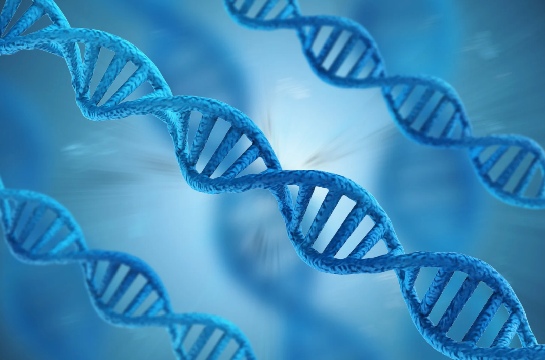 Gene Therapy AB-1005 Shows Promise in Treating Parkinson’s Disease