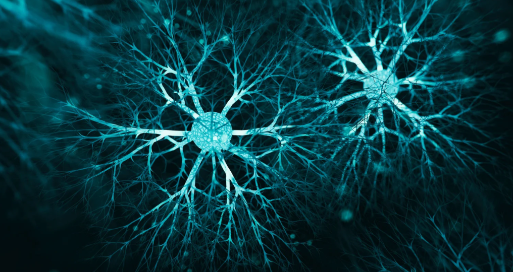 Blocking a Key Enzyme May Halt Cell Death in Parkinson's