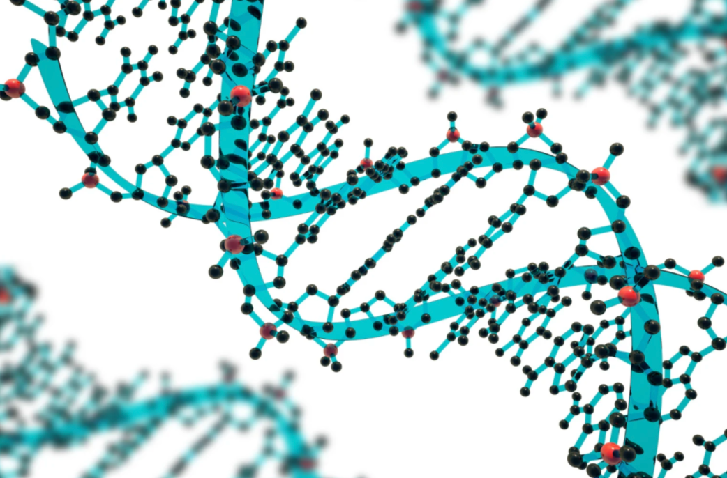 Blocking the Damage Before It Starts: A New Path in Parkinson’s Research