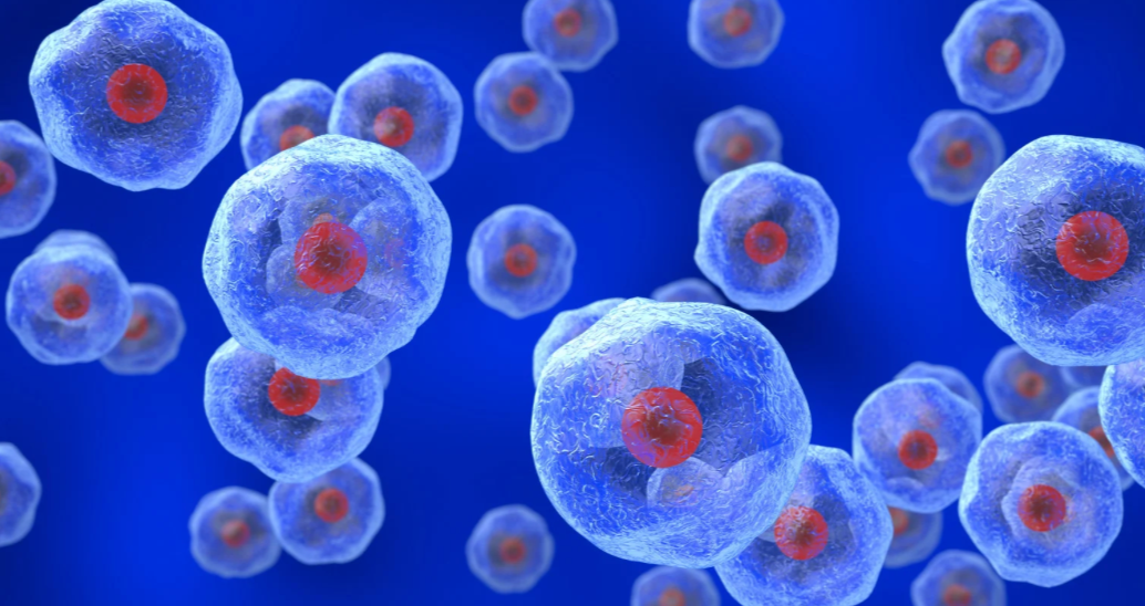 Overactive Neurons May Drive Parkinson’s Damage: New Insights into Protecting Vulnerable Cells