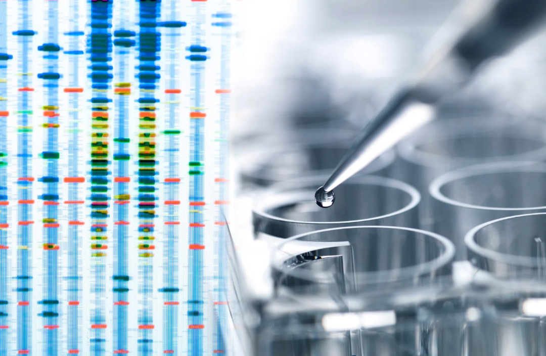 Exploring NOD2: A New Path Toward Parkinson’s Therapies