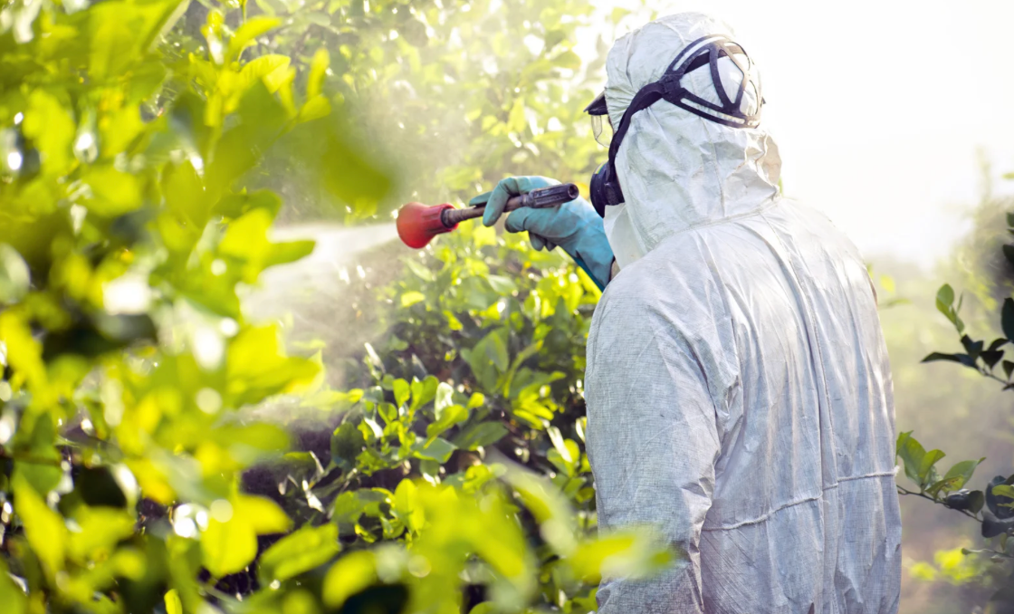 How are pesticides and Parkinson’s disease linked? One doctor’s research spans 25 years