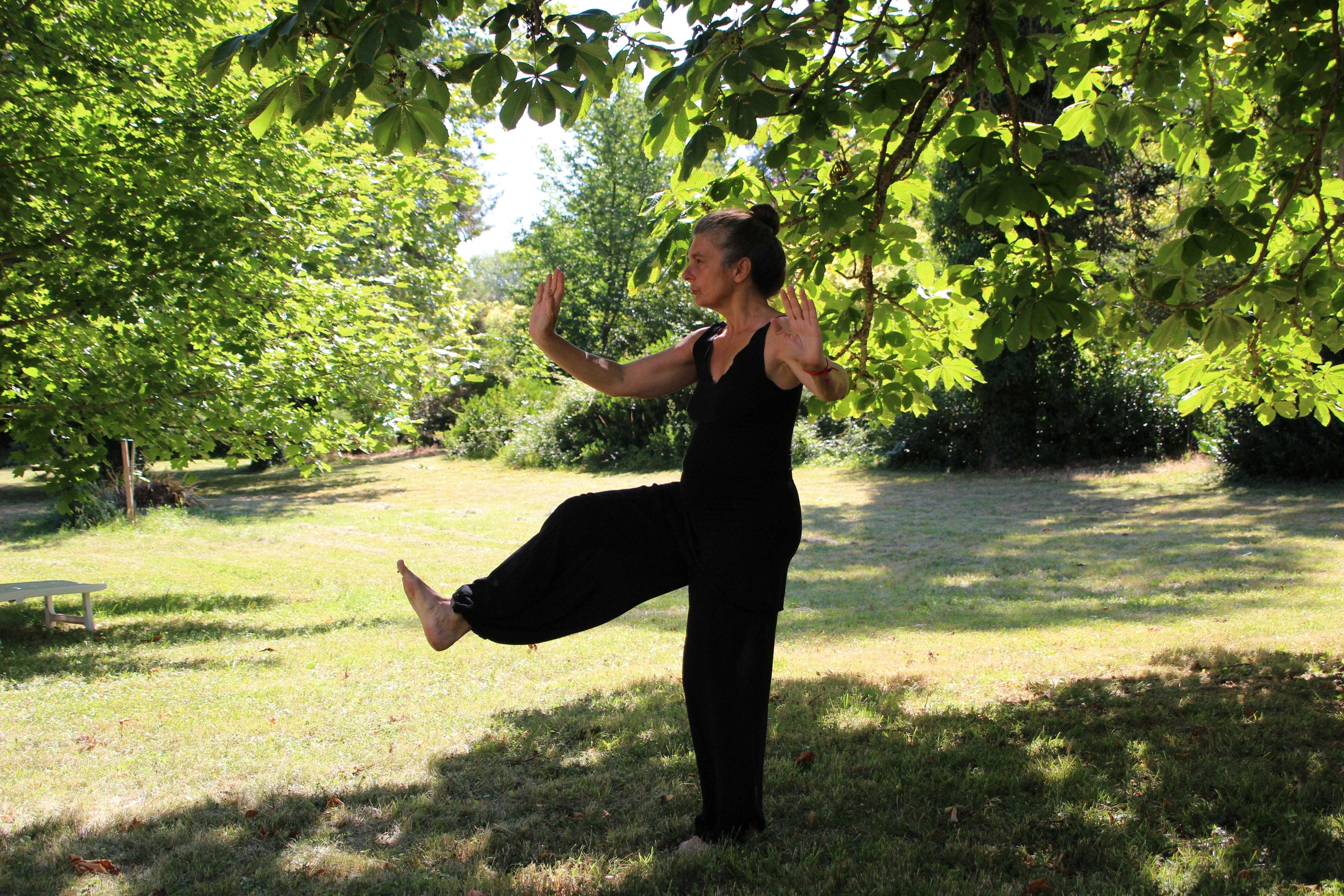Complementary Therapies and Alternative Practices for Parkinson's Disease