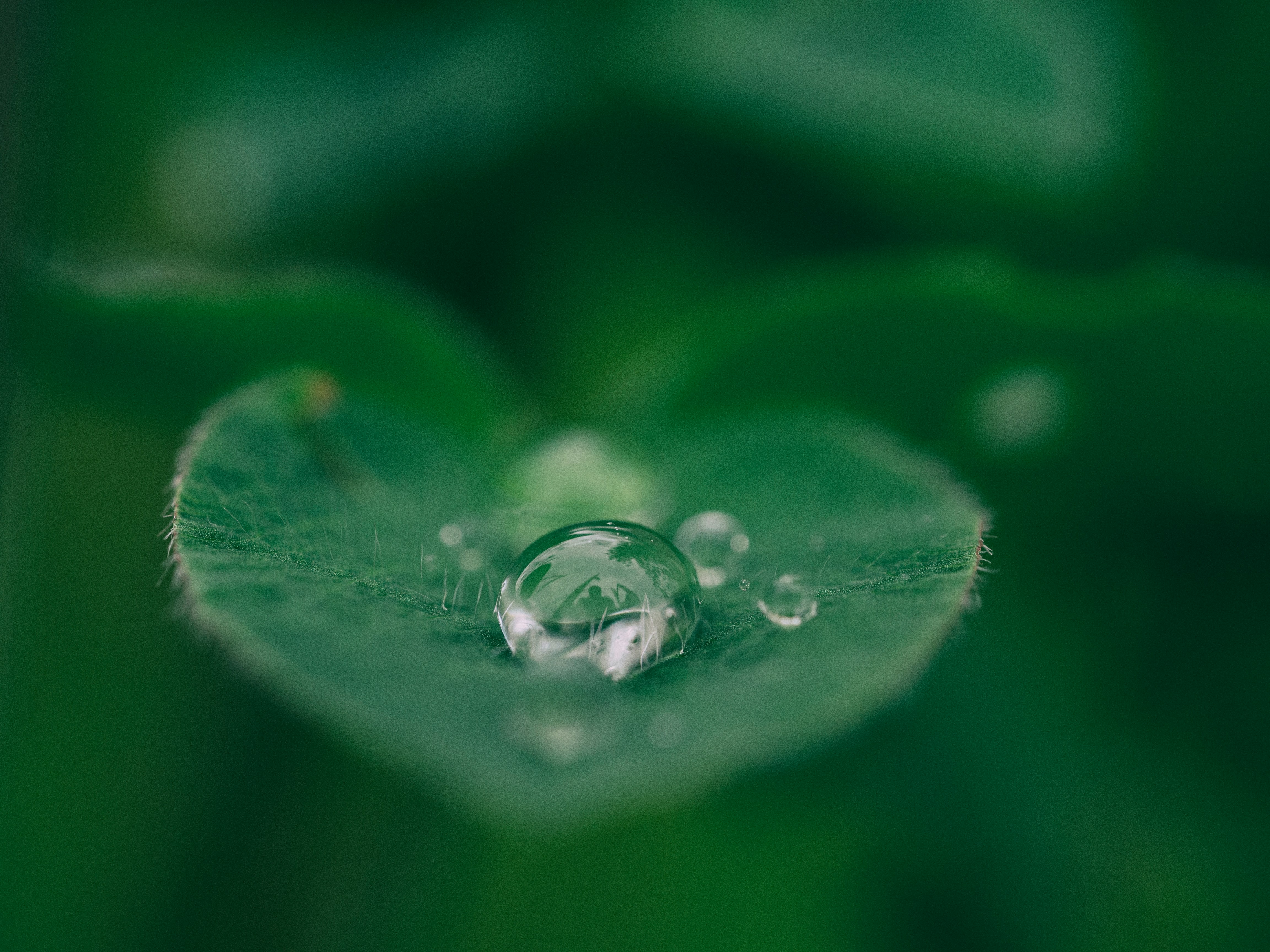 Stress and Mindfulness in Parkinson's Disease: Clinical Effects and Potential Underlying Mechanisms