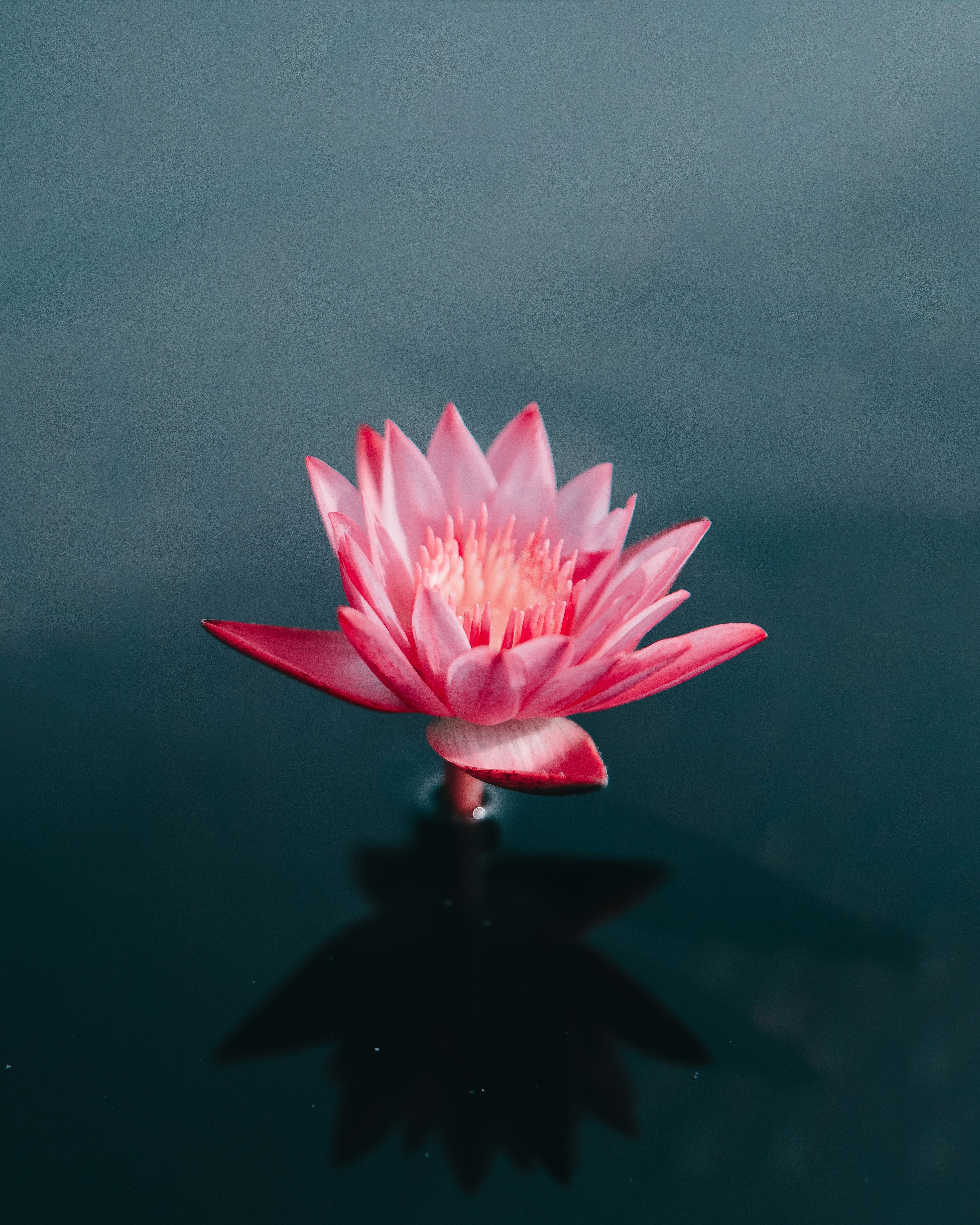 10 Minute Relaxing Guided Breathing for Parkinson's