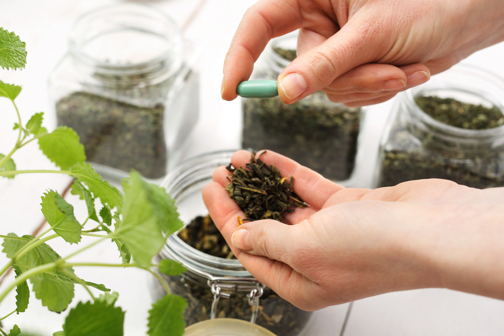 Amazonian Tea Component Stimulates New Nerve Cell Formation, Study Suggests