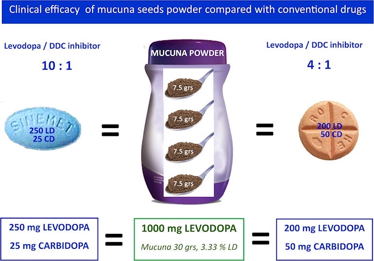 Medicine/Supplement Regime (Mucuna etc)