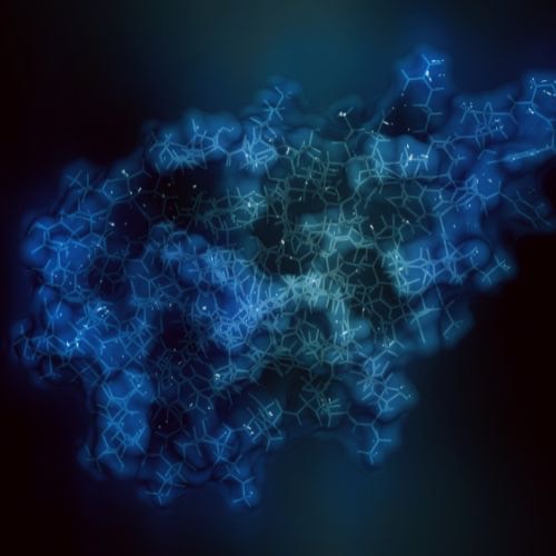 Possible Parkinson’s treatment seen in template to make alpha-synuclein