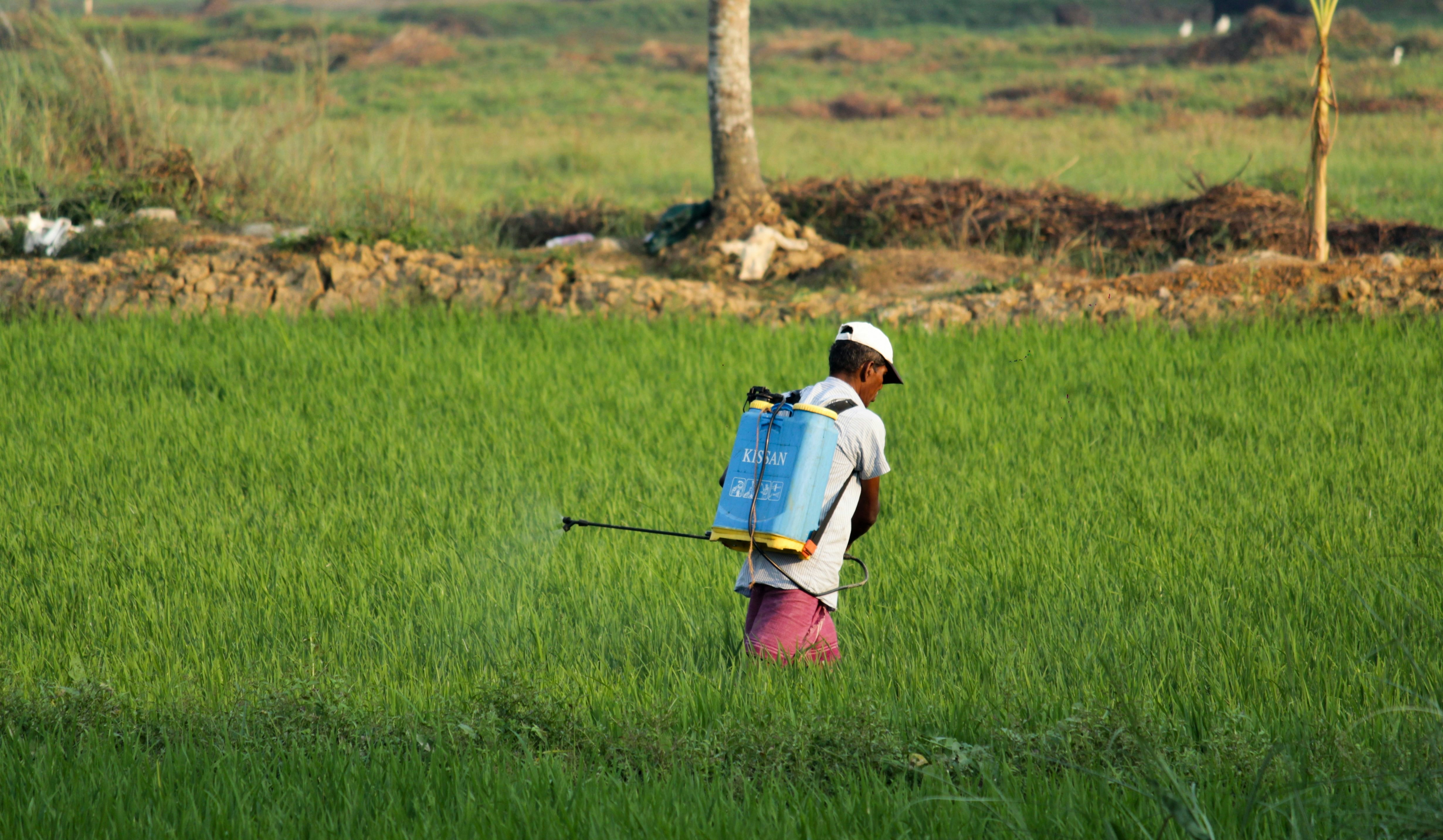 Another 3 common pesticides are now linked to Parkinson's disease risk