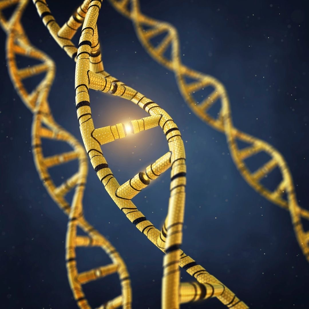 Gene mutations may set stage for Parkinson’s after pesticide exposure