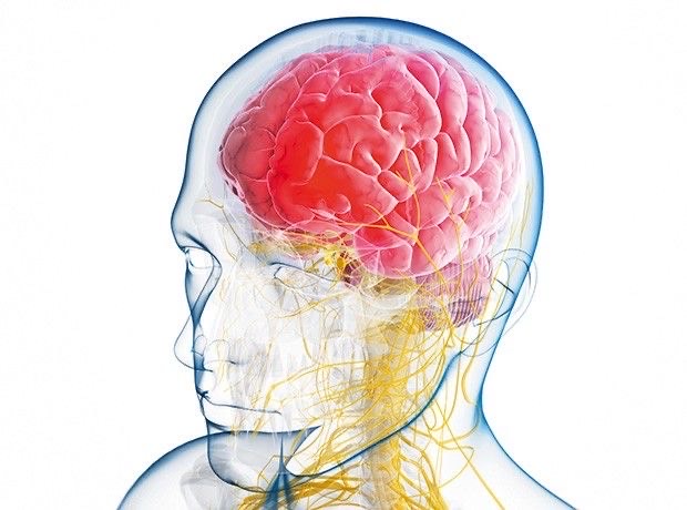 Herantis Pharma granted €3.6m to assess treatment for Parkinson’s disease