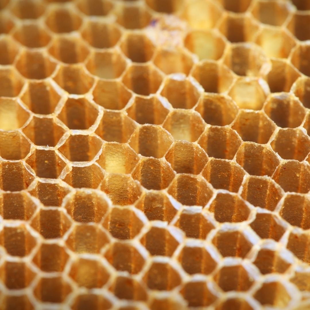 Propolis as a Potential Treatment for Parkinson’s Disease: Protecting the Heart and Brain in Rats
