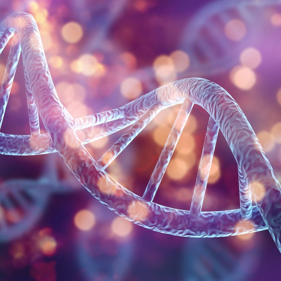Low-dose TED-A9 cell therapy eases Parkinson’s motor symptoms