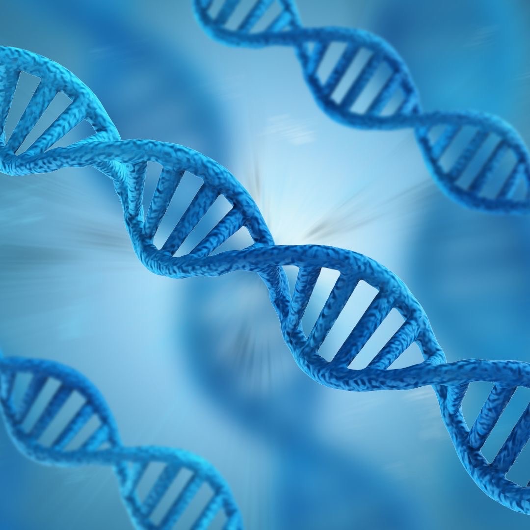 New Parkinson's Disease Gene Discovered