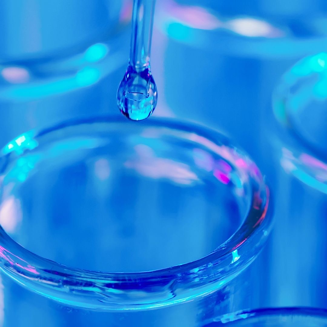 Parkinson’s Disease Drug Therapies in the Clinical Trial Pipeline: 2024 Update