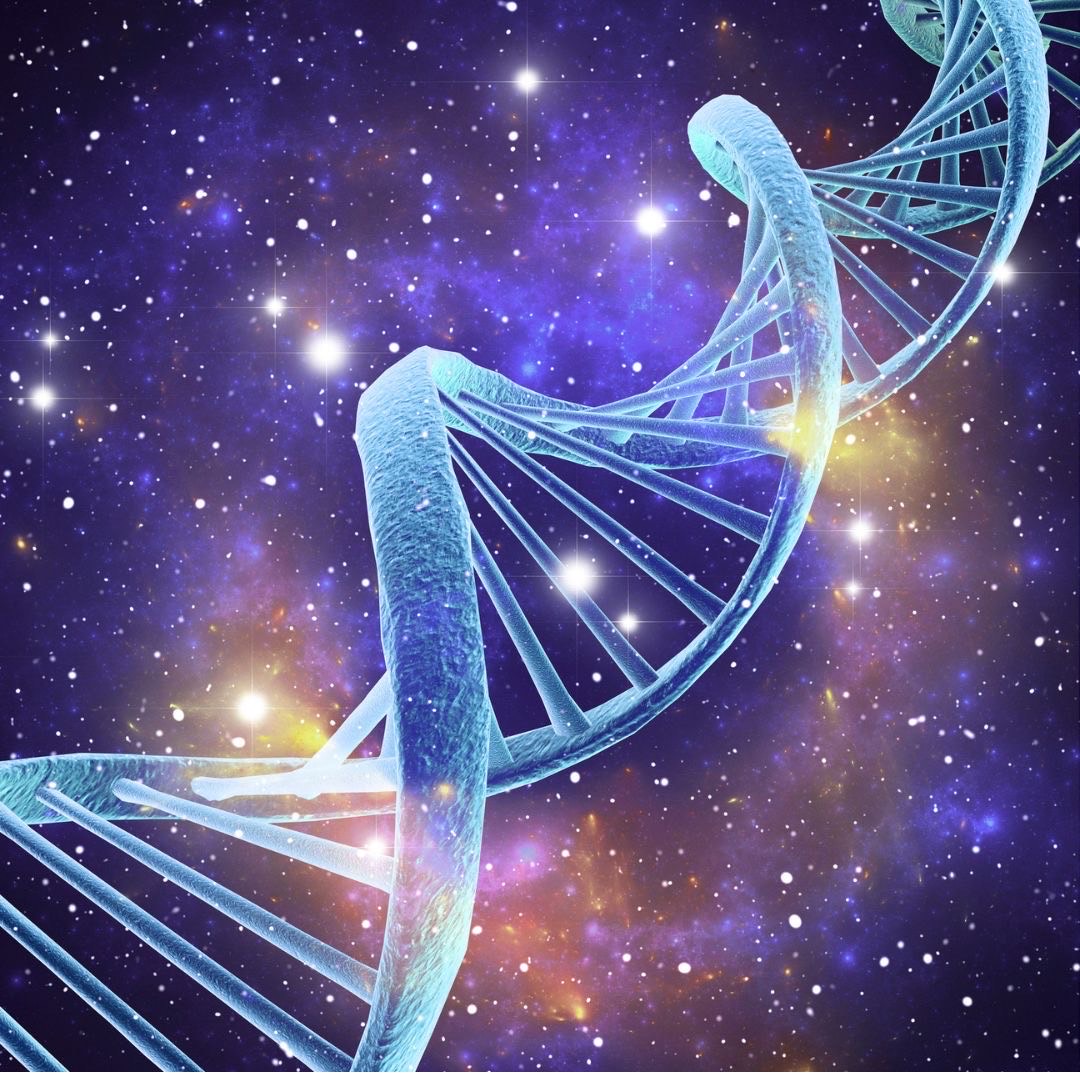 SFU breakthrough ID’s gene that may reverse Parkinson’s disease