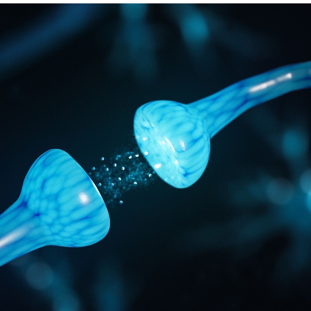 $6M grant aids work into calcium channel blocker to protect neurons