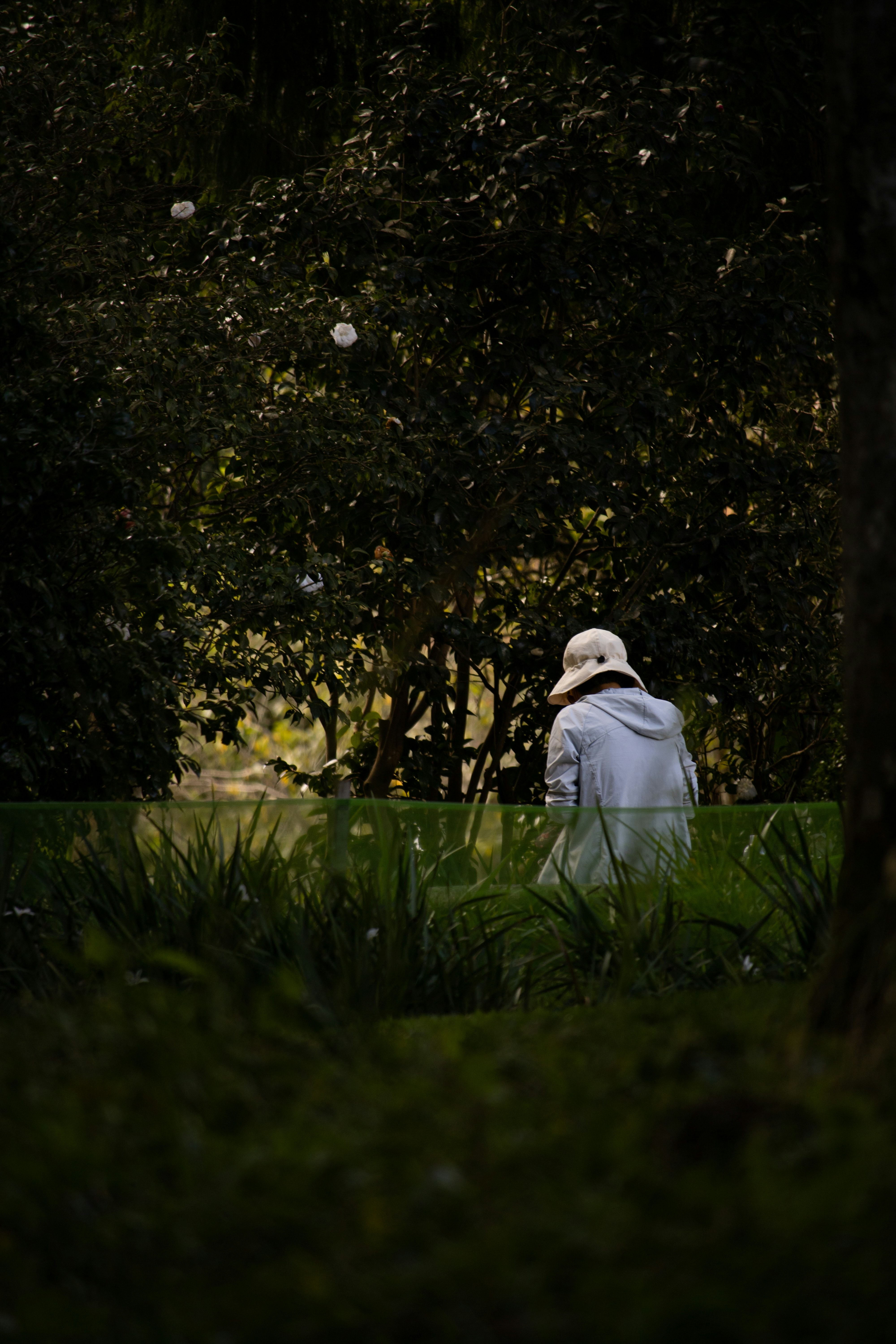 Dementia May Occur Less Often, Develop Slower in Parkinson Disease Patients