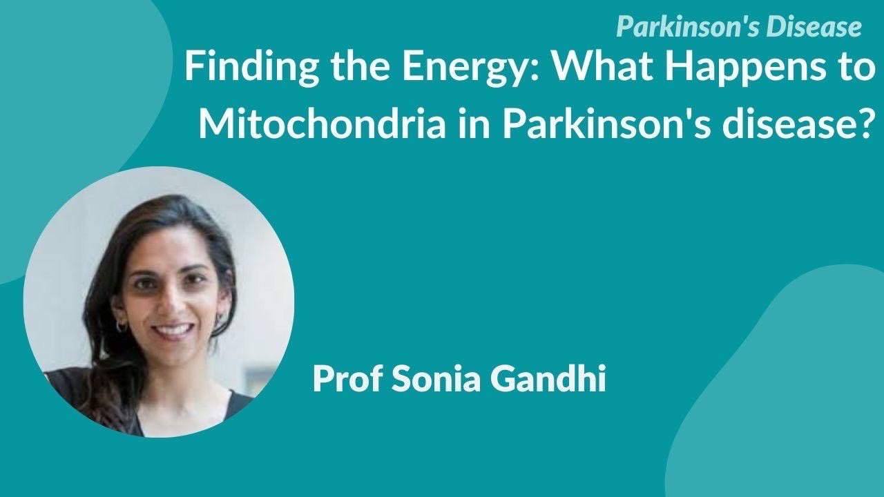 Finding the energy: What happens to mitochondria in PD?