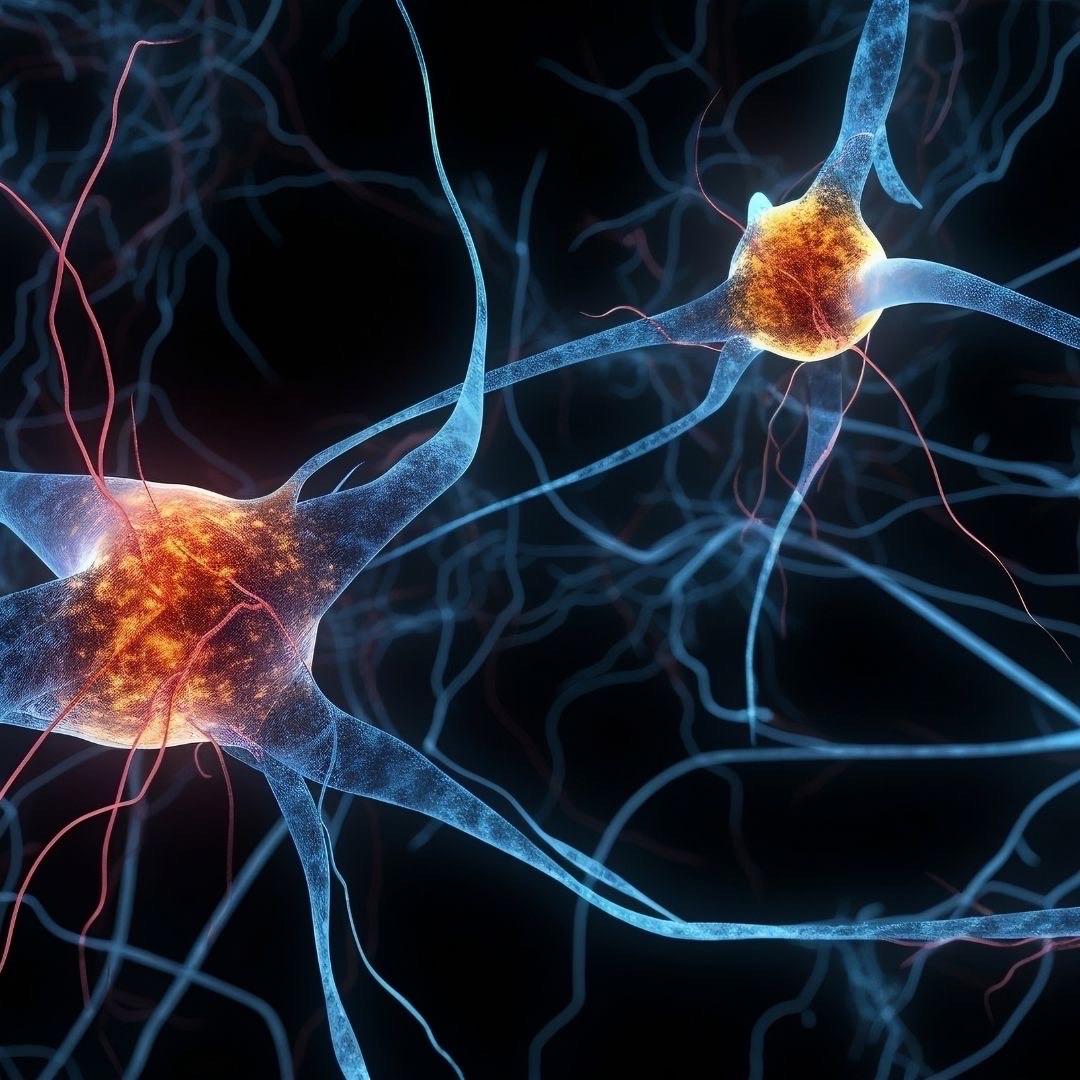 Scientists discover a new way brain cells "forget" information, which could help improve Parkinson's treatment