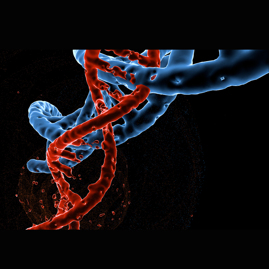 Rare genetic mutations associated with Parkinson’s disease increase the risk of developing ALS
