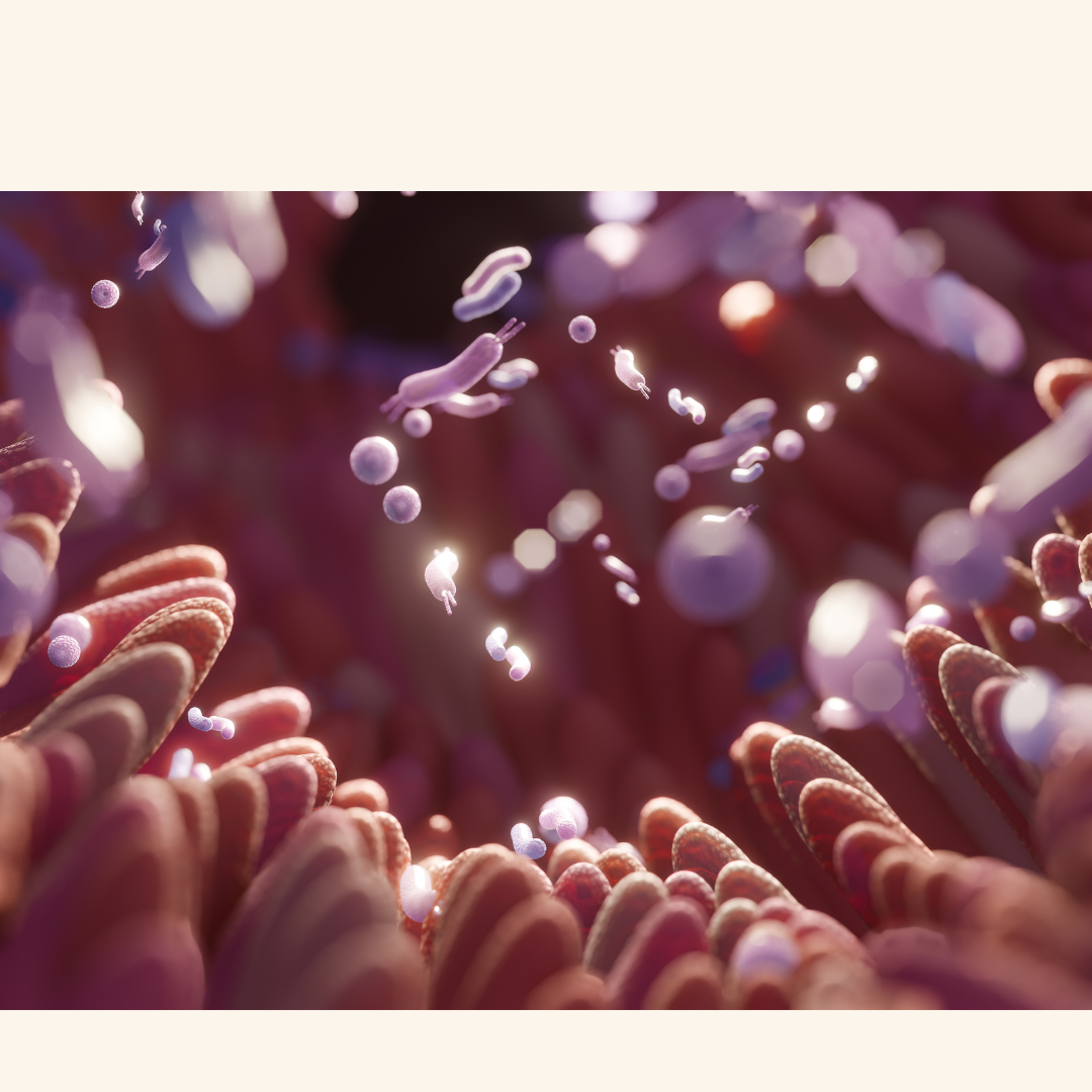 New Study Links Gut Bacteria Changes to Parkinson’s Disease