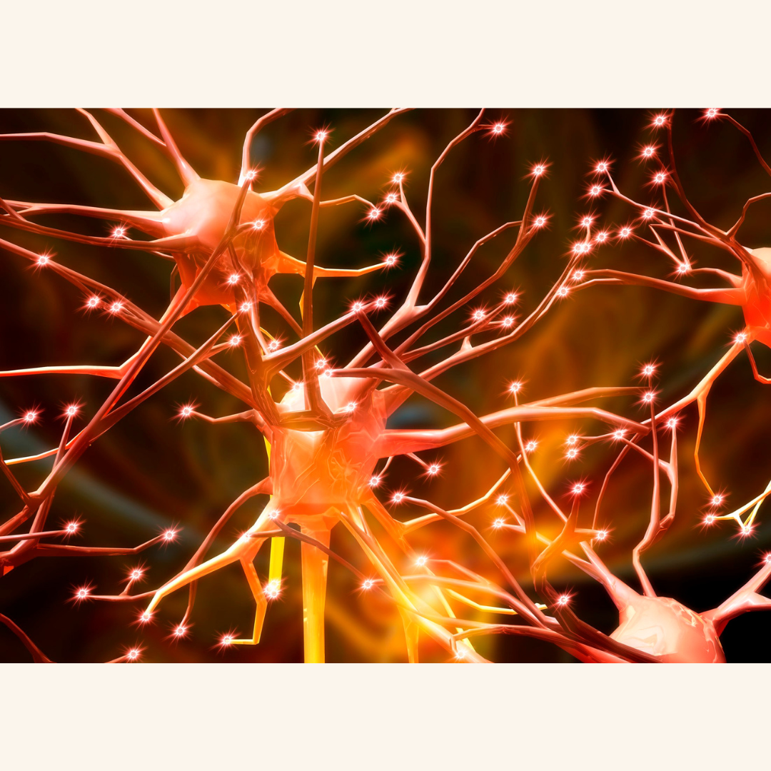 RNA structure may trigger harmful protein clumps in brain cells