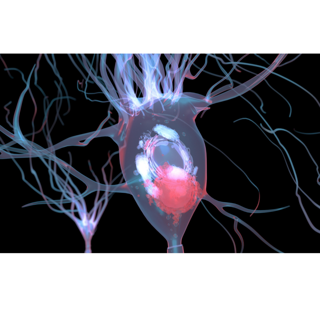Lab-grown brain cells help uncover new targets for Parkinson’s treatments