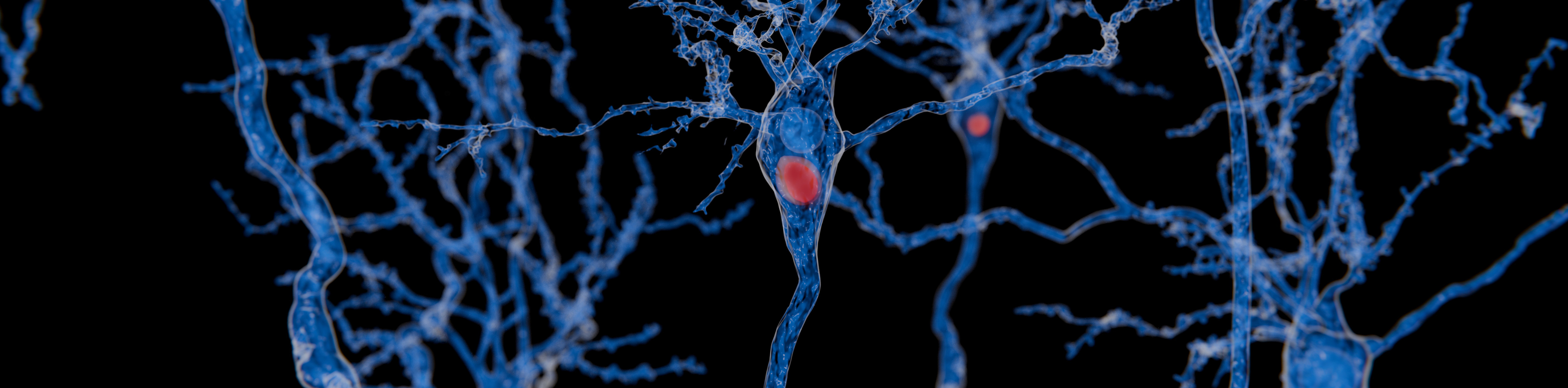 A simple modified amino acid halted the onset of Parkinson’s disease at its preliminary stage.