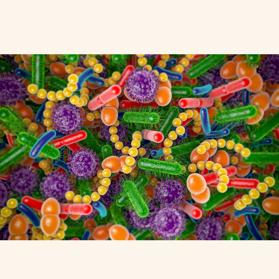 The Role of Fecal Microbiota Transplantation in Parkinson’s Disease