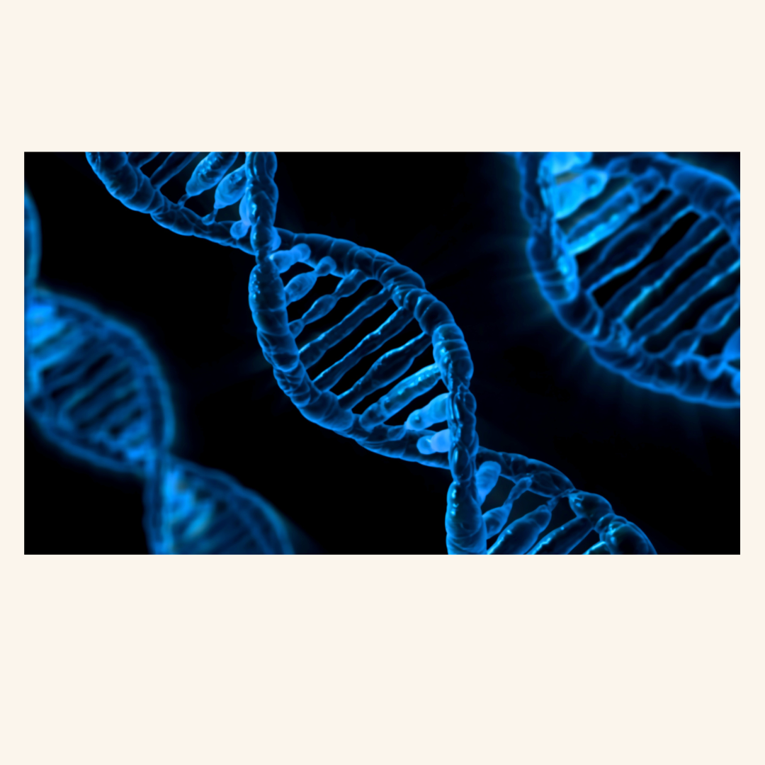First participants randomized in AskBio Phase II gene therapy trial for Parkinson’s disease