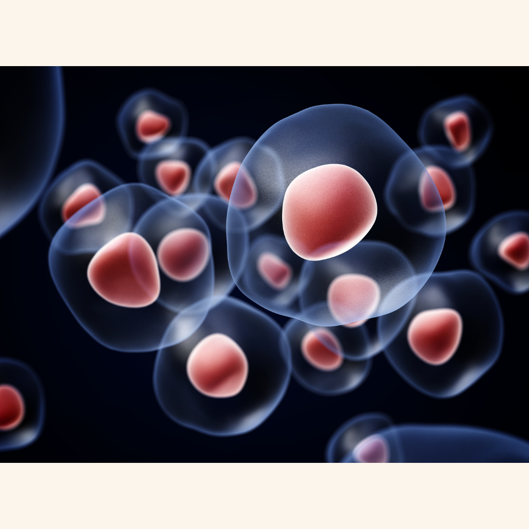 Kenai Therapeutics Expands Research at Lilly Gateway Labs to Advance Parkinson’s Neuron Replacement Therapy