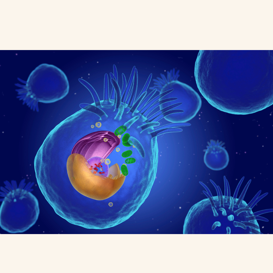 How Metabolic Dysfunction Contributes to Parkinson's Disease