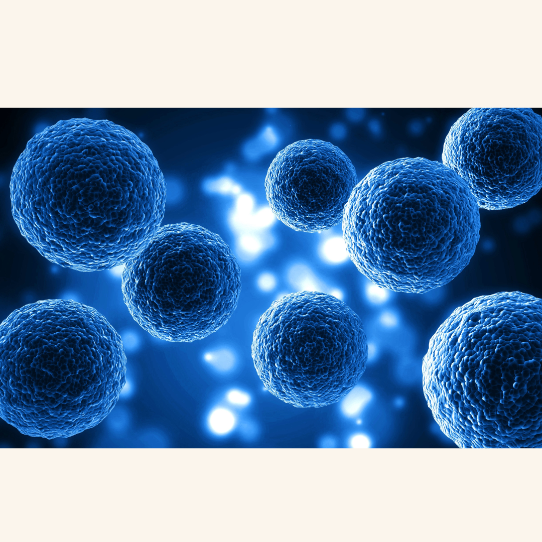 New Clinical Trial Uses Patient Own Stem Cells to Repair Parkinson’s Damage
