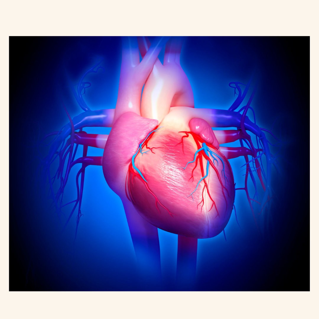 New Research Links Parkinson’s Disease to Heart Problems, Offering Hope for New Treatments