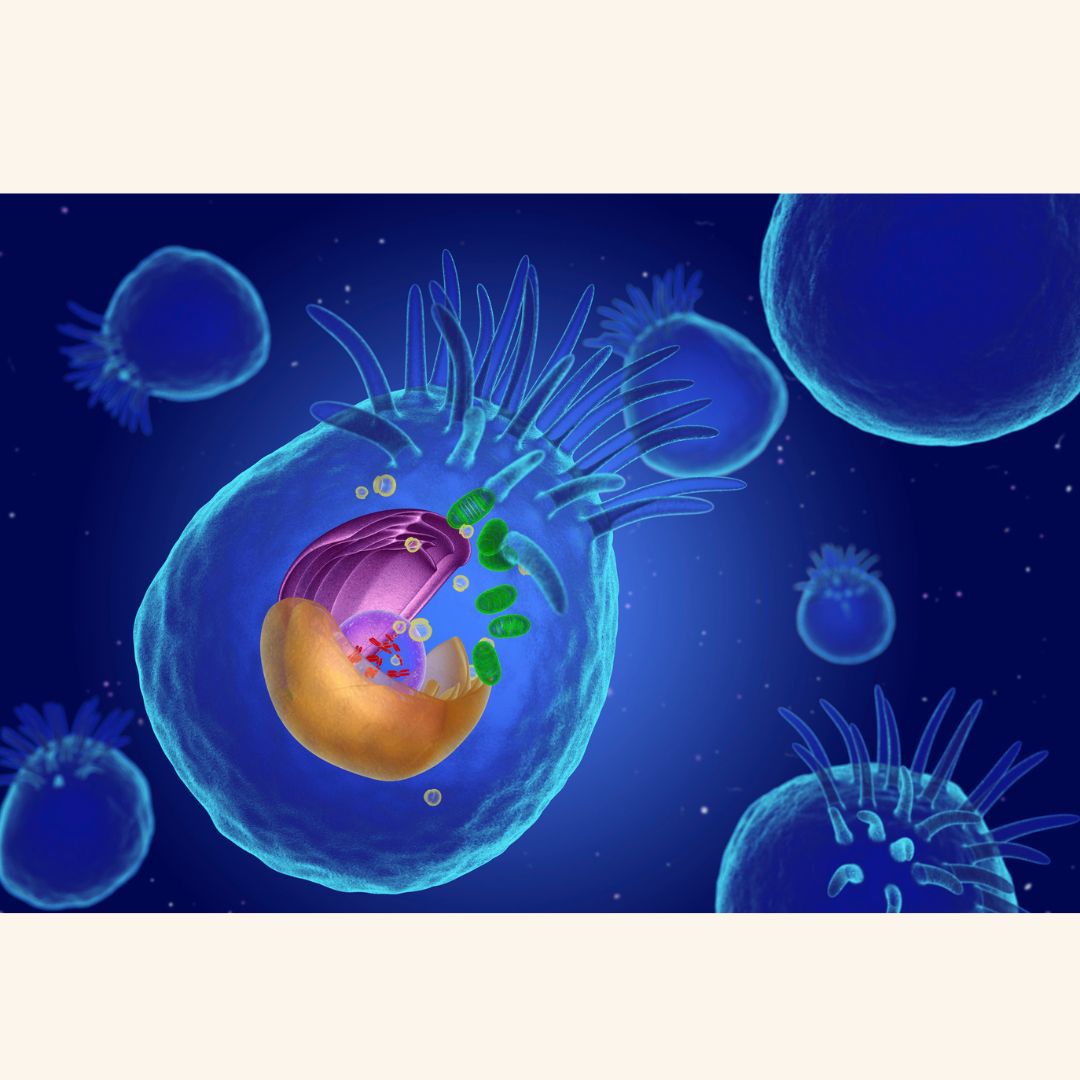 Mitochondrial Clues in Muscles May Help Personalize Parkinson’s Treatment