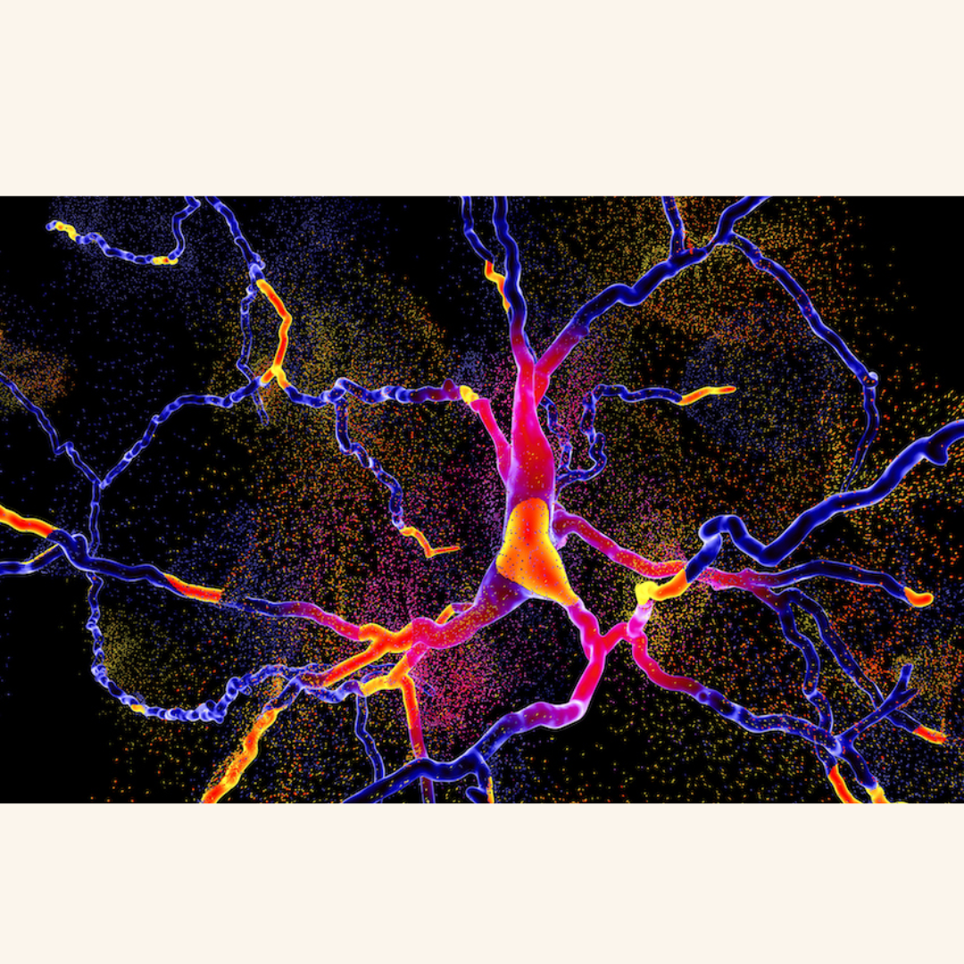 A Protein That Kills Brain Cells—And the Tiny Molecule That Might Stop It