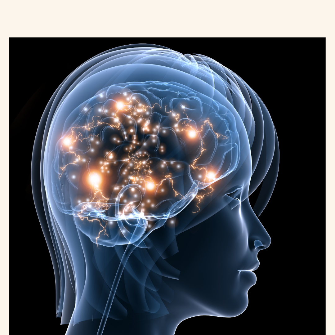 How L-Dopa Changes Brain Activity – And Why It Matters for Parkinson’s