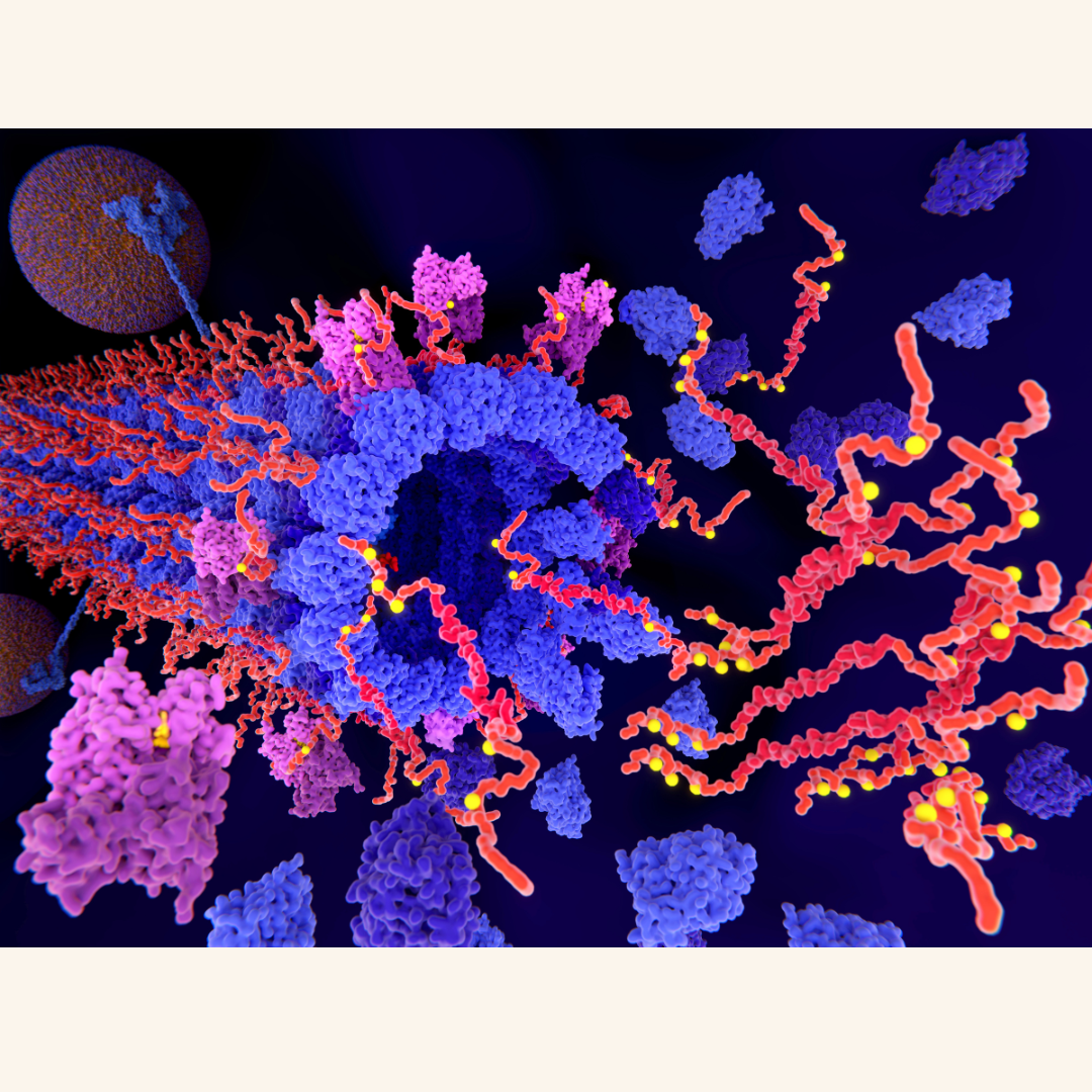 Could a Cancer Drug Slow Down Parkinson’s? Scientists Think So.