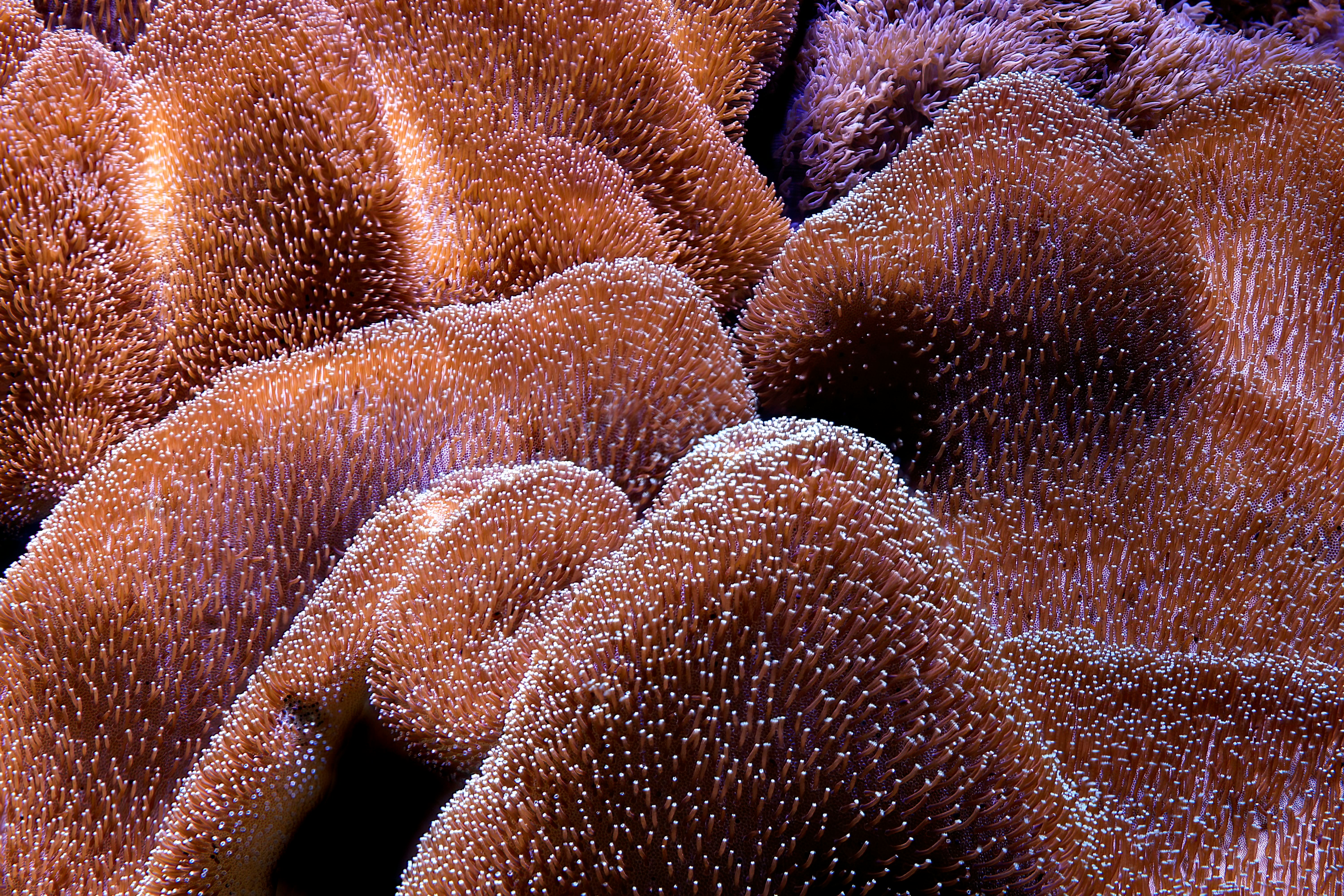 The Gut-Brain Loop in Parkinson’s: Why We Keep Coming Back to It