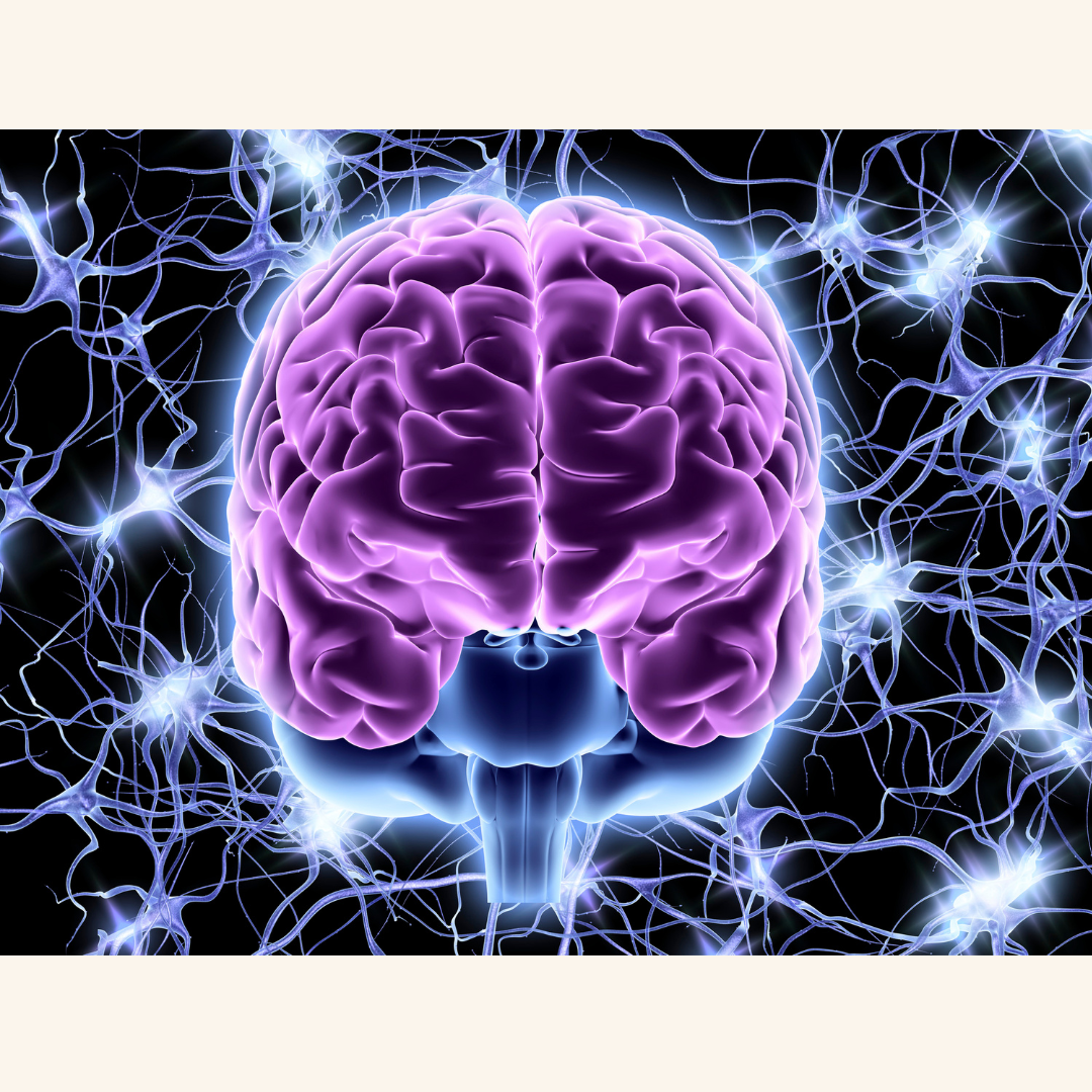 Could Overactive Brain Cells Be Accelerating Parkinson’s?