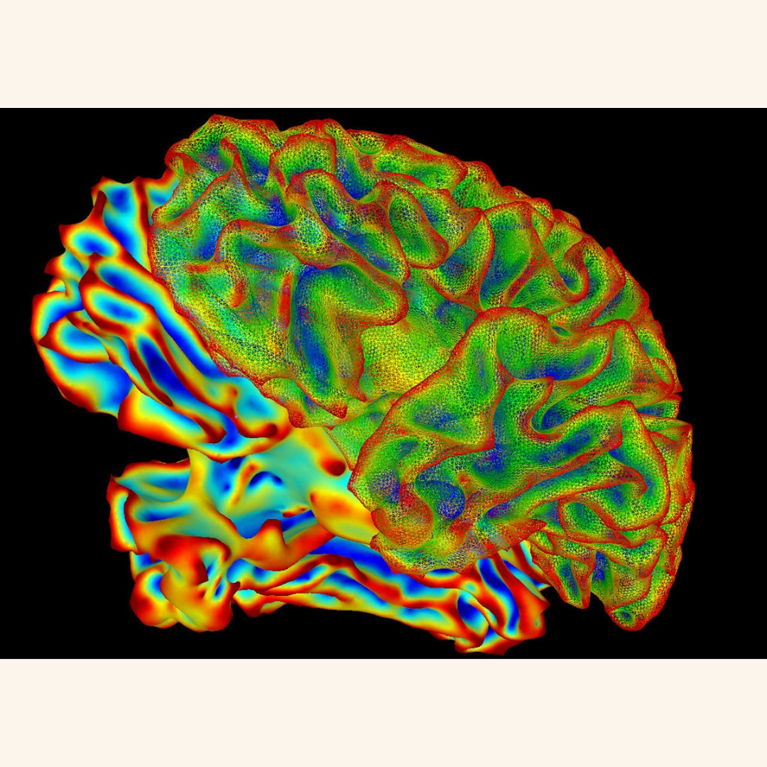 Soluble Klotho: a quiet anti-inflammatory player in brain aging and Parkinson’s