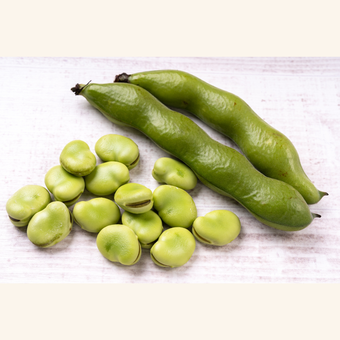 The Protective Power of Broad Beans Against Parkinson's