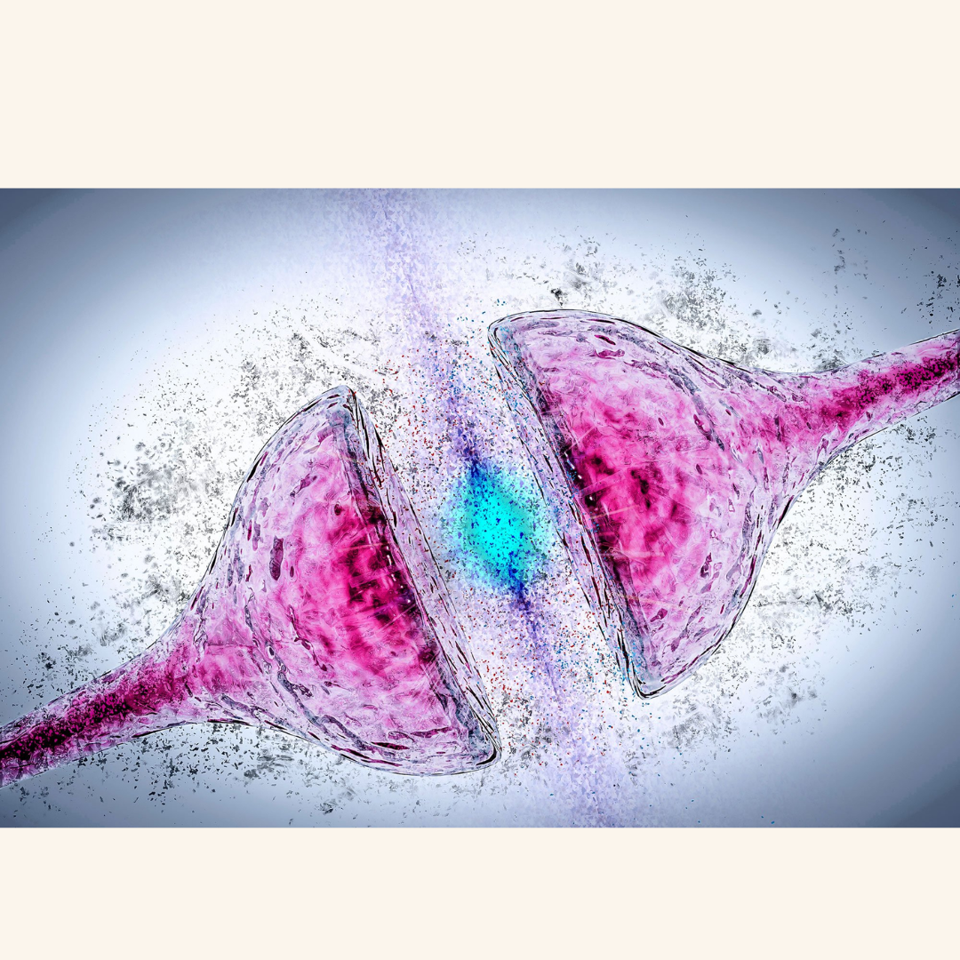 A new way to stop the Parkinson’s protein from clumping